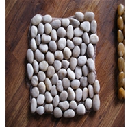 白色鵝卵石網帖-2